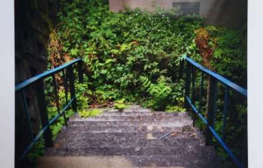 日吉ケ丘高等学校
