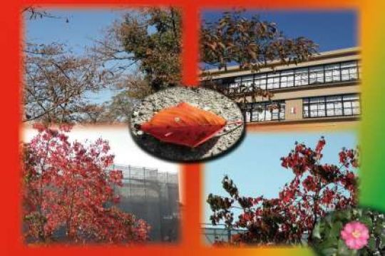 日吉ケ丘高等学校