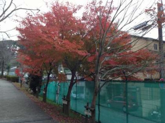 日吉ケ丘高等学校
