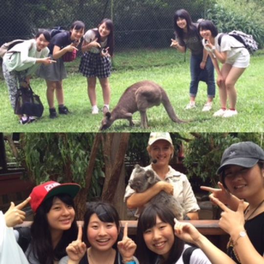 日吉ケ丘高等学校