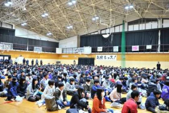 紫野高等学校