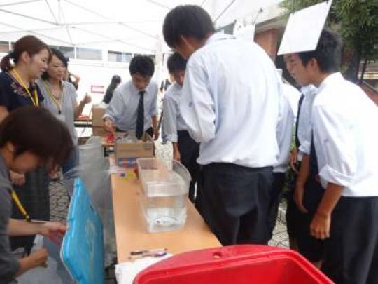 塔南高等学校