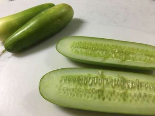 塔南高等学校