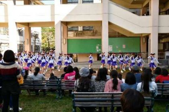 紫野高等学校