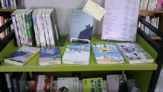 塔南高等学校