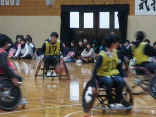 紫野高等学校