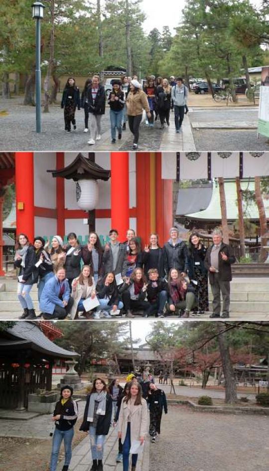 紫野高等学校