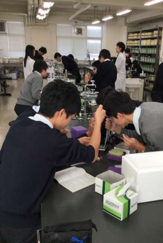 塔南高等学校