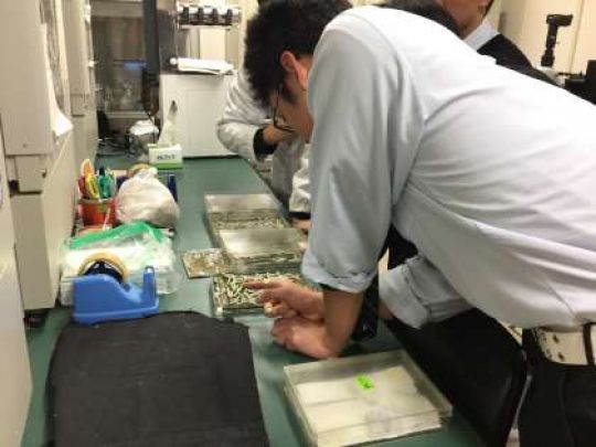 塔南高等学校