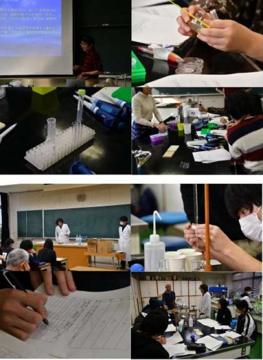 紫野高等学校