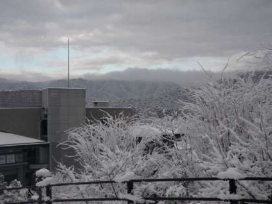 紫野高等学校