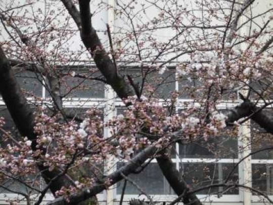 塔南高等学校