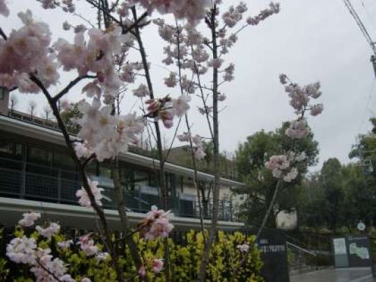 京都工学院高等学校