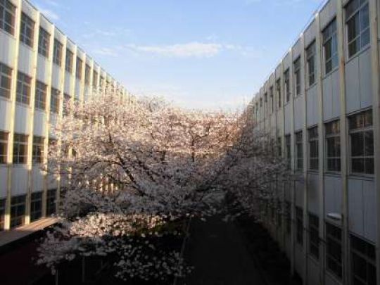 塔南高等学校