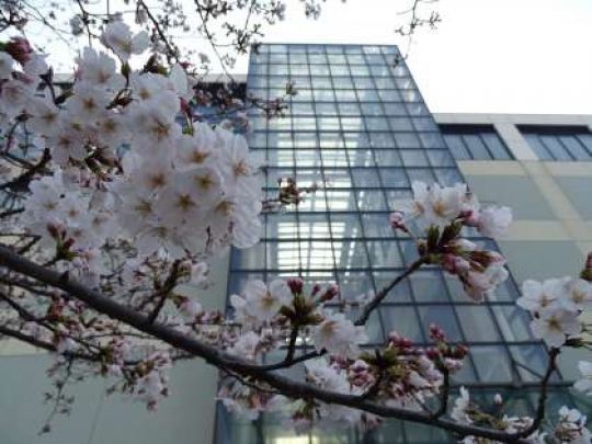 堀川高等学校