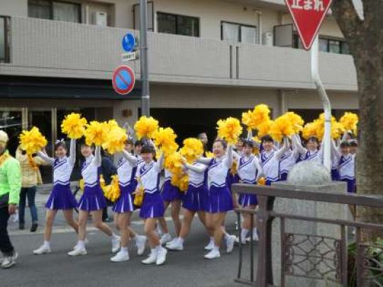 紫野高等学校