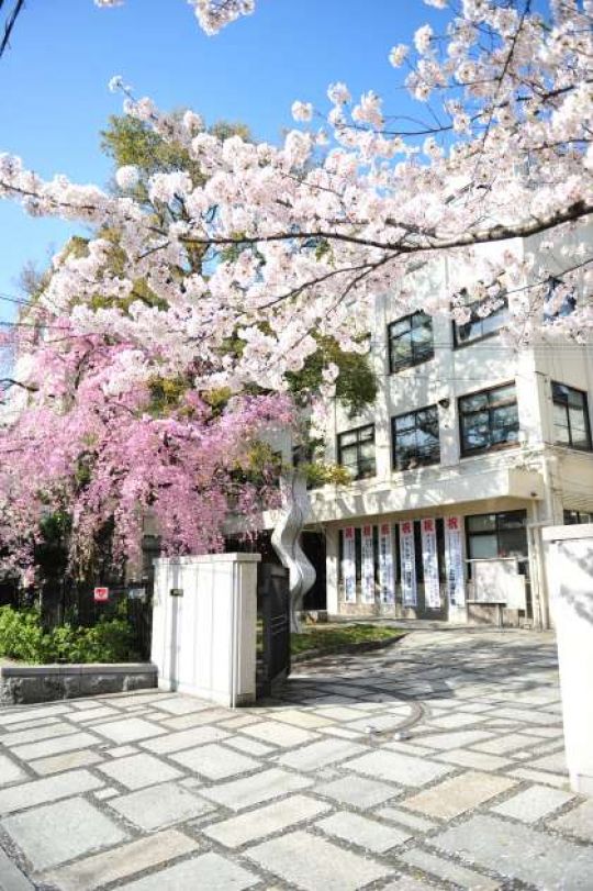 紫野高等学校