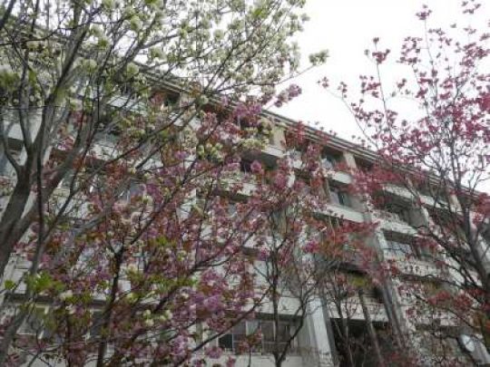西京高等学校