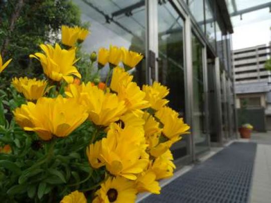 堀川高等学校