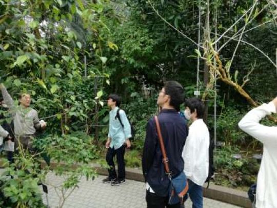 塔南高等学校