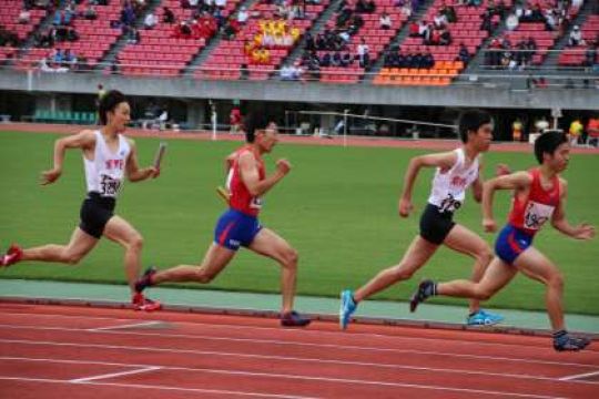 紫野高等学校