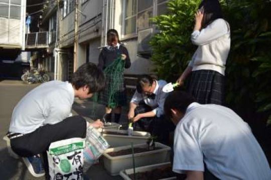 塔南高等学校