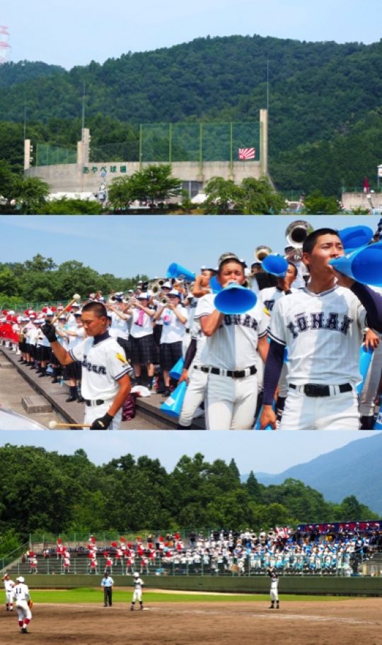 塔南高等学校