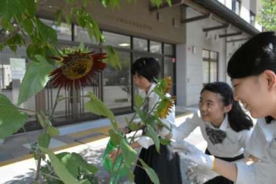 京都堀川音楽高等学校