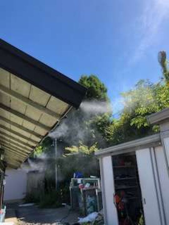 紫野高等学校