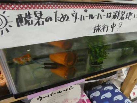 西京高等学校