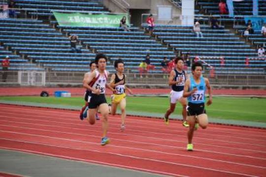 紫野高等学校