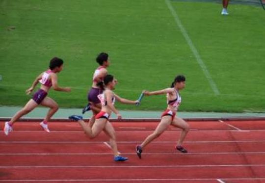紫野高等学校