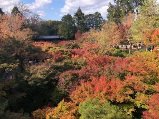 日吉ケ丘高等学校