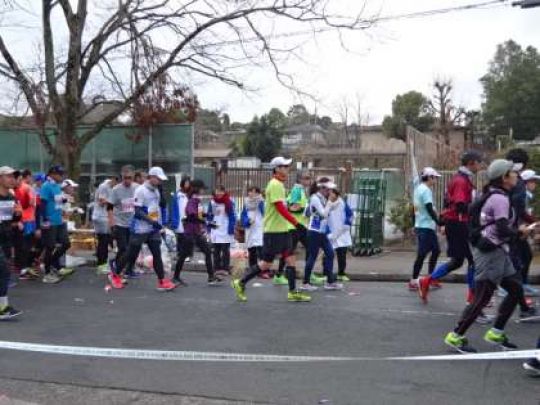紫野高等学校