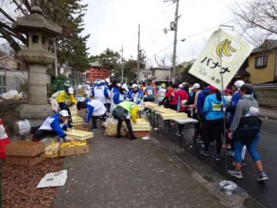 紫野高等学校