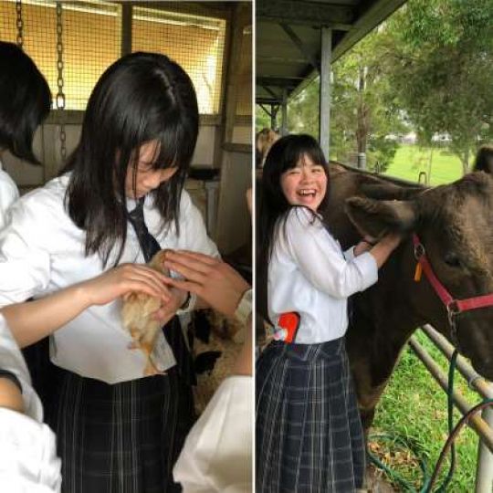 日吉ケ丘高等学校