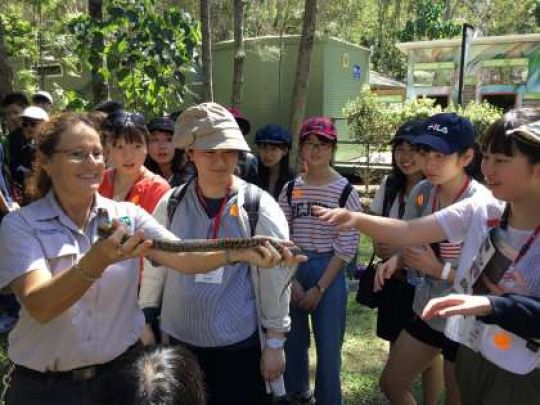 紫野高等学校