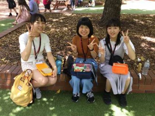 紫野高等学校