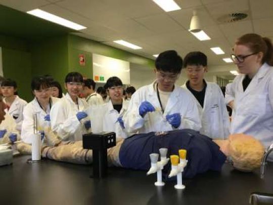 紫野高等学校