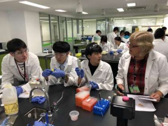 紫野高等学校