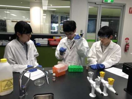 紫野高等学校