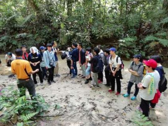 紫野高等学校