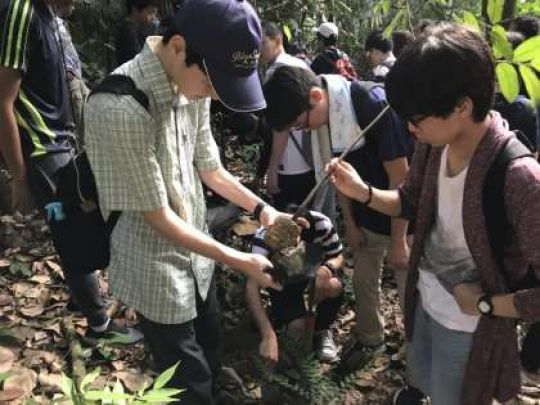 紫野高等学校