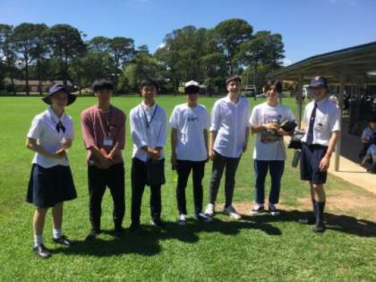 紫野高等学校