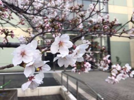 堀川高等学校