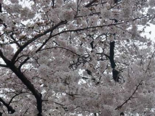 京都工学院高等学校