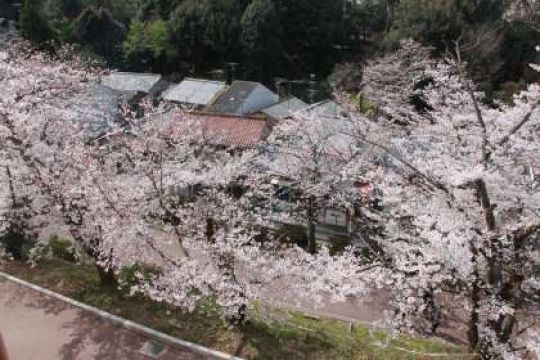 日吉ケ丘高等学校