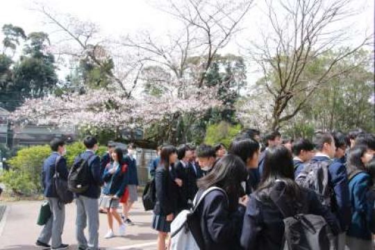 日吉ケ丘高等学校