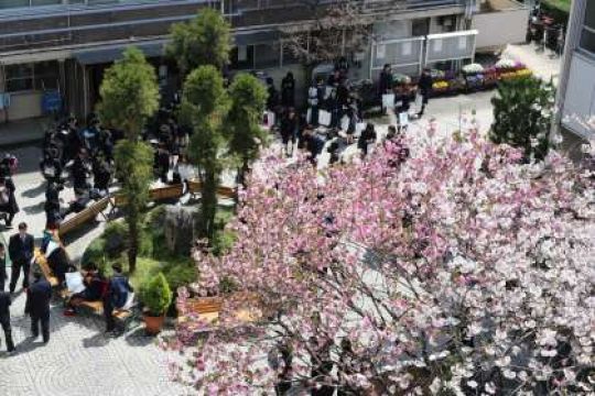 塔南高等学校