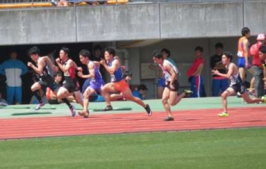 紫野高等学校